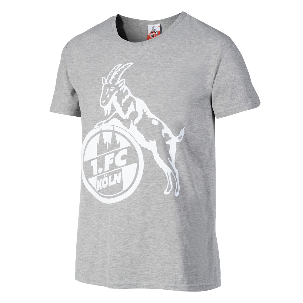 1. FC Köln T-Shirt "Basic Grau" | SALE %